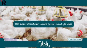 تعرف على أسعار الدواجن والبيض اليوم الثلاثاء 3 يونيو 2025